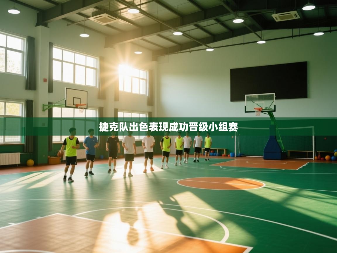 捷克队出色表现成功晋级小组赛 第1张