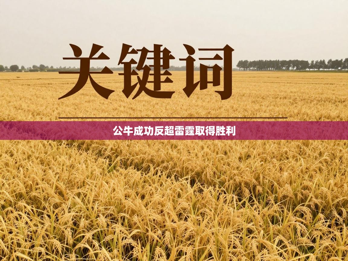 公牛成功反超雷霆取得胜利  第2张