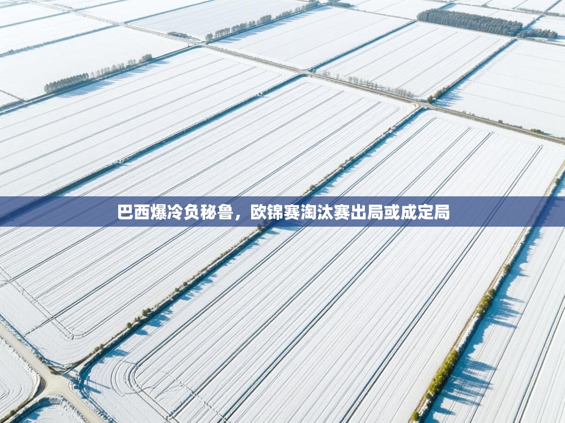 巴西爆冷负秘鲁,欧锦赛淘汰赛出局或成定局 第2张