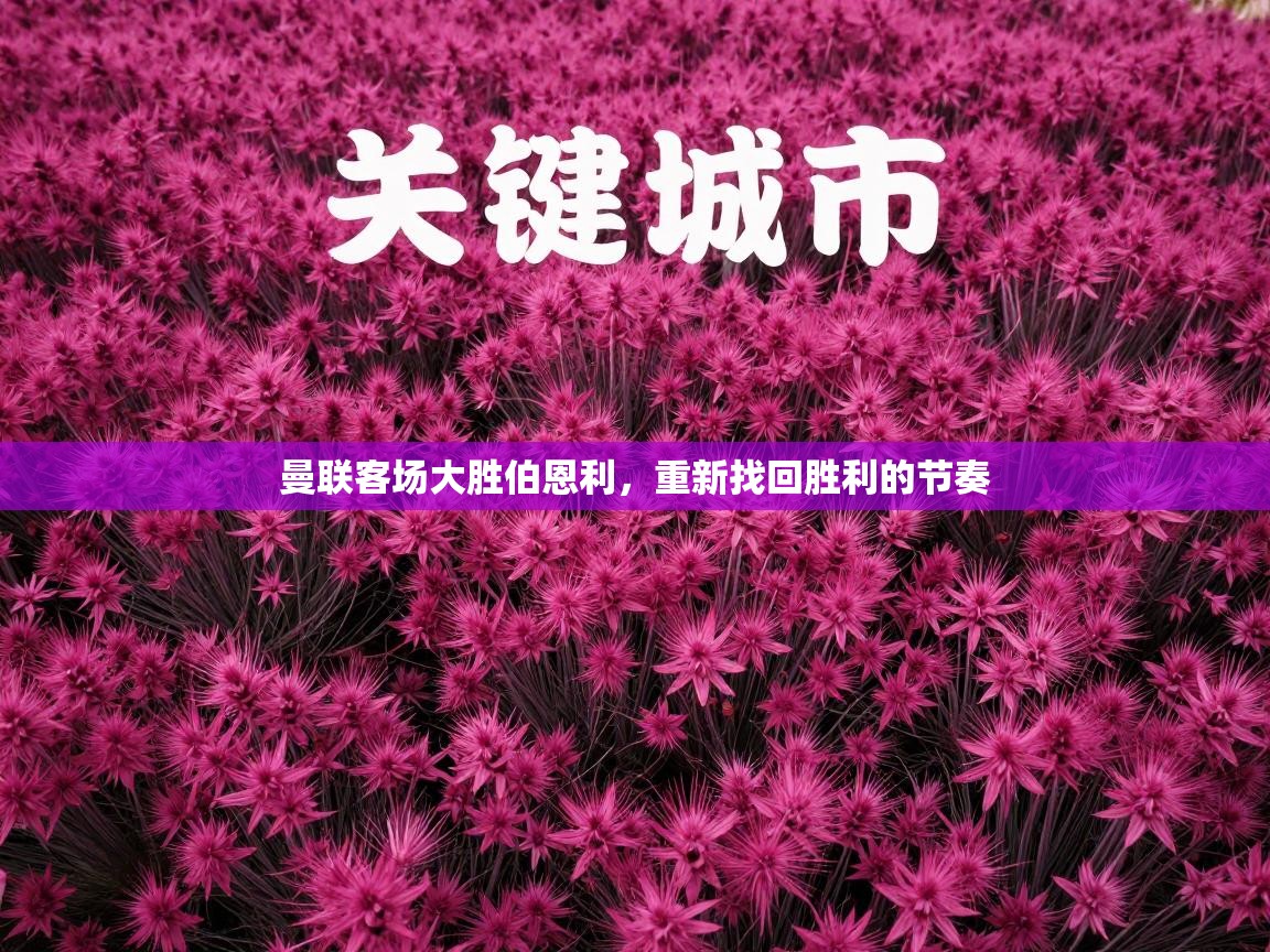 曼联客场大胜伯恩利,重新找回胜利的节奏 第2张